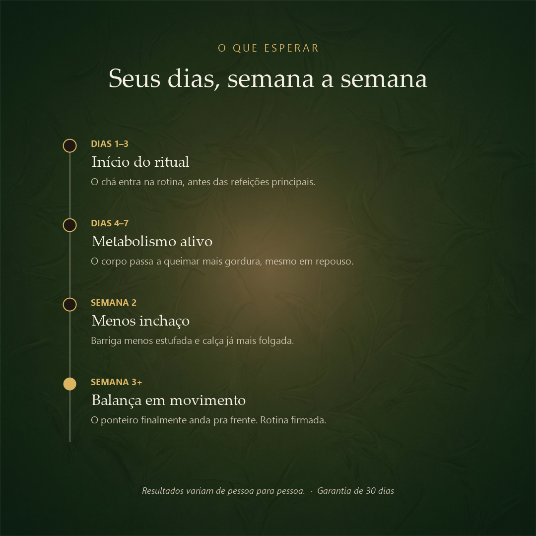 Energy Plus - Emagrecimento Natural - evolução semana a semana