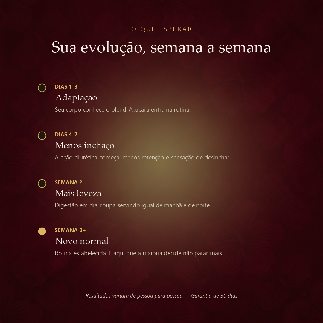 Zero Inchaço - evolução semana a semana